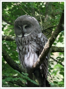 sized_IMG_2955