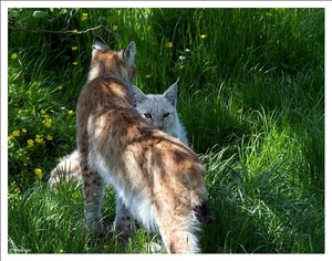 sized_IMG_3334