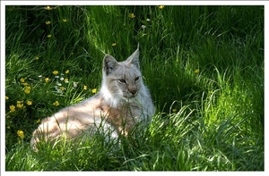 sized_IMG_3340
