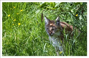 sized_IMG_3365