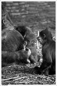 sized_IMG_4937-bewerkt-bewerkt-bewerkt