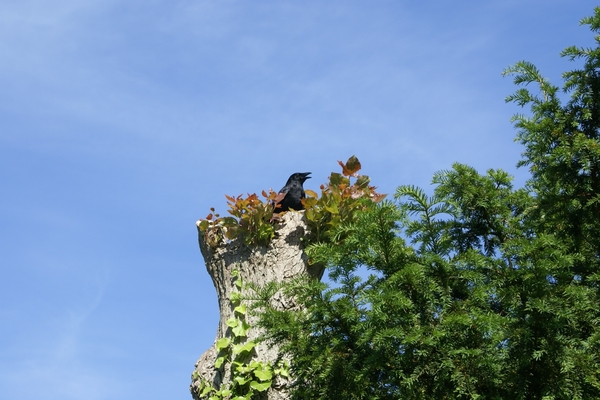 ter duinen 297