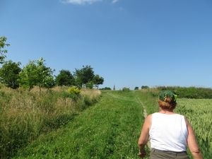 2013-07-10 Heldergem 006