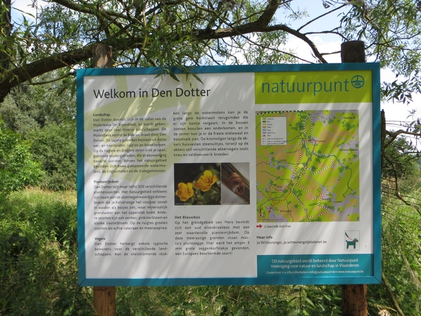 2013-07-10 Heldergem 010