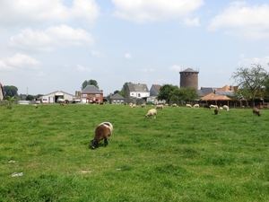 2013-07-10 Heldergem 017