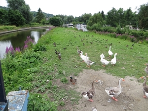 2013-07-11 Geraardsbergen 006