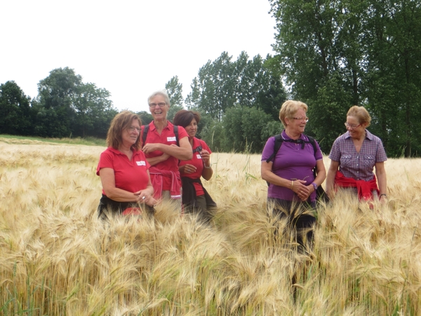 2013-07-11 Geraardsbergen 039