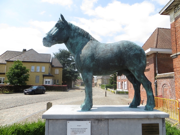 2013-07-11 Geraardsbergen 048