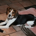 rayka 10 maart 2013 (14)