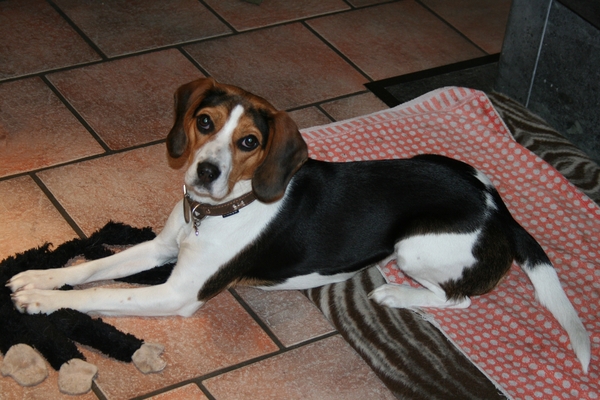rayka 10 maart 2013 (14)