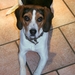 rayka 10 maart 2013 (17)
