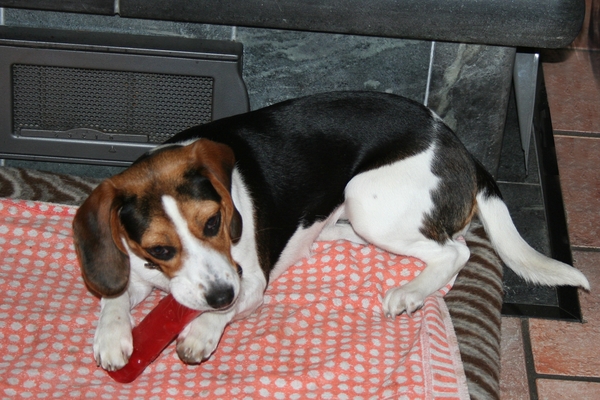 rayka 10 maart 2013 (21)