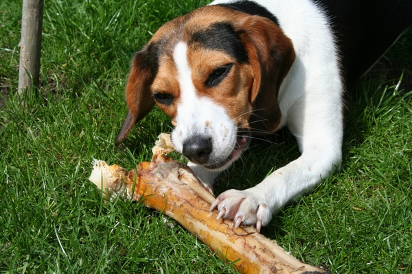 rayka 30 mei 2013 (117)