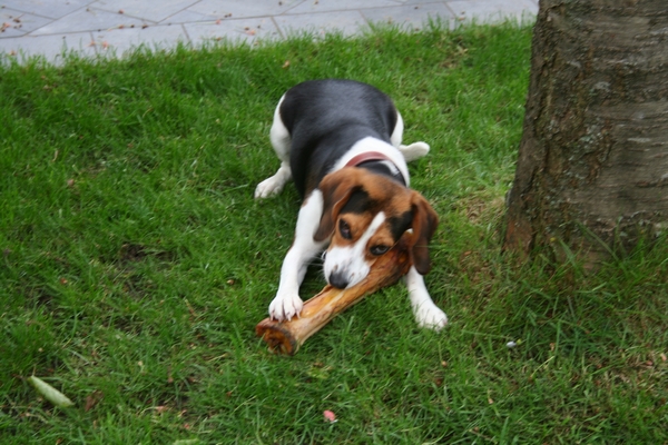 rayka 30 mei 2013 (14)