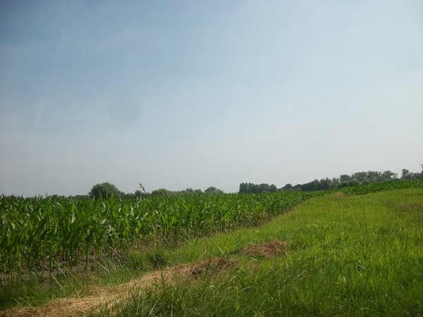 048-Panoramische zichten in Blaasveld