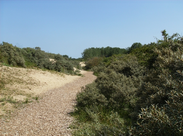 Oostduinkerke Juli 2013 007