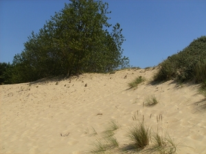 Oostduinkerke Juli 2013 016