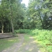 wandeling Stroboeren Merksem 13-7-2013 003