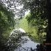 wandeling Stroboeren Merksem 13-7-2013 006