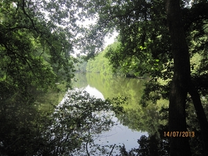 wandeling Stroboeren Merksem 13-7-2013 006
