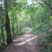 wandeling Stroboeren Merksem 13-7-2013 008