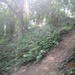 wandeling Stroboeren Merksem 13-7-2013 009
