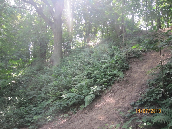 wandeling Stroboeren Merksem 13-7-2013 009