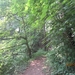 wandeling Stroboeren Merksem 13-7-2013 010