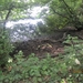 wandeling Stroboeren Merksem 13-7-2013 012