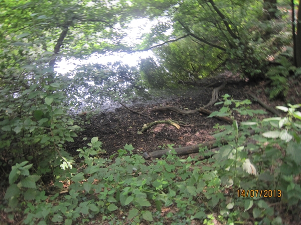 wandeling Stroboeren Merksem 13-7-2013 012