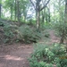 wandeling Stroboeren Merksem 13-7-2013 013