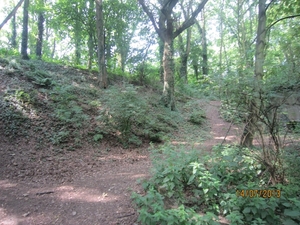 wandeling Stroboeren Merksem 13-7-2013 013