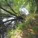 wandeling Stroboeren Merksem 13-7-2013 016