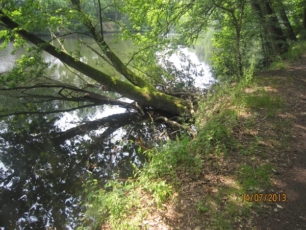 wandeling Stroboeren Merksem 13-7-2013 016