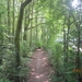 wandeling Stroboeren Merksem 13-7-2013 020