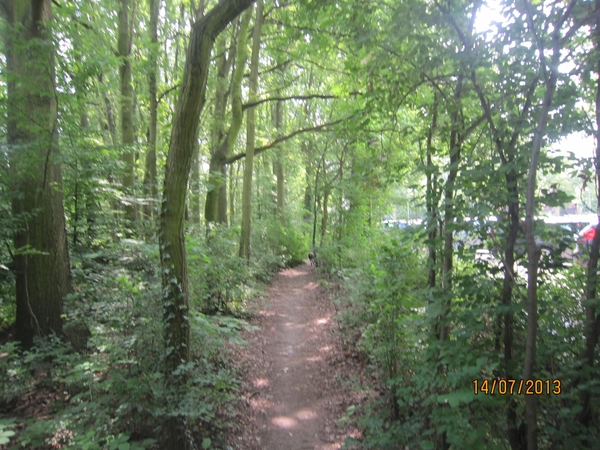 wandeling Stroboeren Merksem 13-7-2013 020