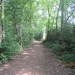 wandeling Stroboeren Merksem 13-7-2013 022