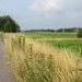 2013-07-13 Oudenaarde 021