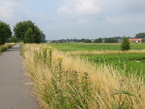 2013-07-13 Oudenaarde 021