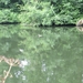 2013-07-13 Oudenaarde 024