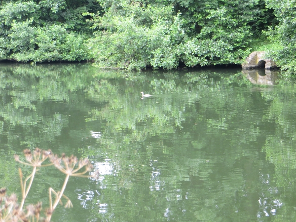 2013-07-13 Oudenaarde 024