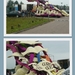 2013-09-08 collage bloemencorso