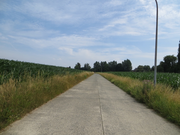2013-07-17 Velzeke 034