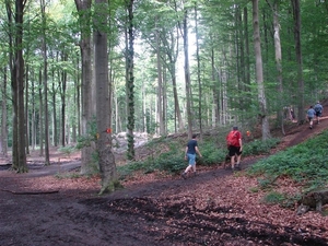 2007_06_RONSE_door het bos voor het rustpunt