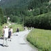 Aviat Tirol 2008 016