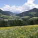 Aviat Tirol 2008 053