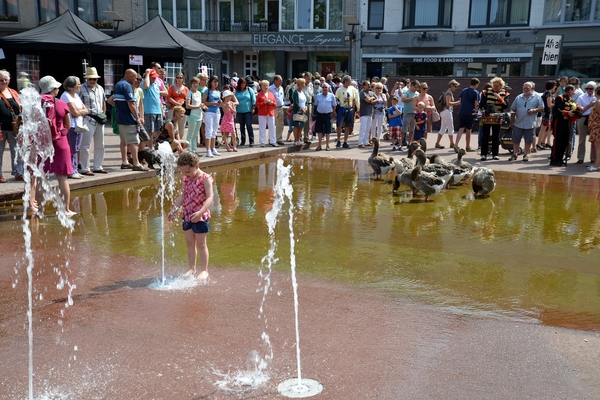 046  Uitstap Genk en Mini Europa 13-15 juli 2013 - zondagsmarkt G