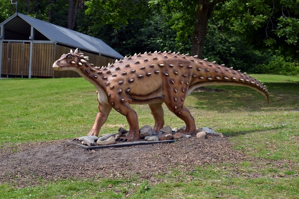 068  Uitstap Genk en Mini Europa 13-15 juli 2013 - Dinosaurussen 