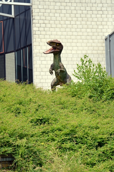 070  Uitstap Genk en Mini Europa 13-15 juli 2013 - Dinosaurussen 