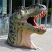 072  Uitstap Genk en Mini Europa 13-15 juli 2013 - Dinosaurussen 
